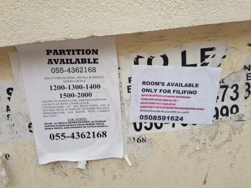 20190223_150741 (Mittel)