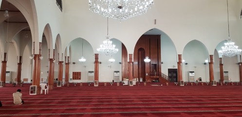 20190224_154555 (Mittel)