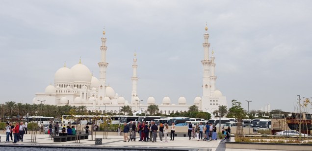 20190228_105406 (Mittel)